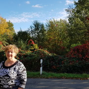 ���������� ������������, ���� ������� �����, 72 ����, ������������ 