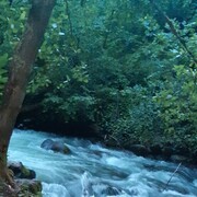 ���������� ������, ���� ������� Gio, 40 ���, ������������ ��� ������, ����� � ���������, c�������� ���������