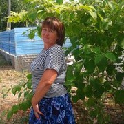  ,   , 55 ,  