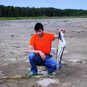  ,   , 58 ,  