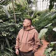 ���������� �����������-��-�����, ���� ������� ������, 38 ���, ������������ ��� ������, ����� � ���������, ���������