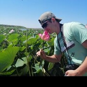 ���������� ������, ���� ������� �����, 40 ���, ������������ ��� ������, ����� � ���������, c�������� ���������