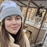 ���������� ��������, ���� ������� ��������, 32 ����, ������������ ��� ����� � ���������, c�������� ���������