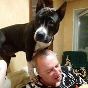 ���������� �����������, ���� ������� ����, 62 ����, ������������ ��� ������, ����� � ���������, c�������� ���������