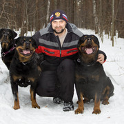 ���������� ������������, ���� ������� �����, 48 ���, ������������ ��� ������, ����� � ���������, c�������� ���������