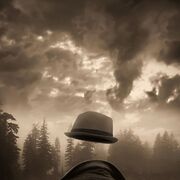 ���������� �����������, ���� ������� �����, 36 ���, ������������ ��� ������, ����� � ���������