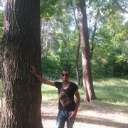  ,   TOLIK, 43 ,   ,   