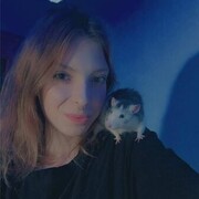  ,  , 20