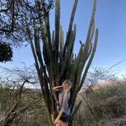 ���������� ������, ���� ������� �����, 25 ���, ������������ ��� ������, ����� � ���������, c�������� ���������