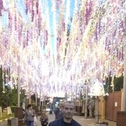 ���������� �����, ���� ������� ������, 42 ����, ������������ ��� ������, ����� � ���������