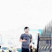  ,   ShaMS, 31 ,  