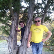 ���������� �������, ������� ���������, 64