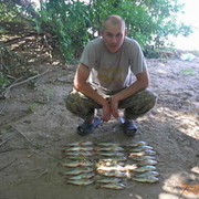 ���������� �����, ���� ������� ������, 46 ���, ������������ ��� ������