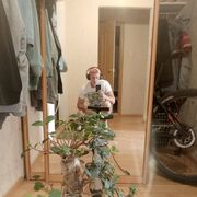 ���������� ������, ���� ������� ����, 38 ���, ������������ ��� ����� � ���������, c�������� ���������, ���������