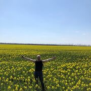 ���������� �����-���������, ���� ������� ����, 50 ���, ������������ ��� ������, ����� � ���������