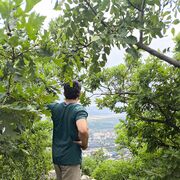 ���������� ��������, ���� ������� ������, 30 ���, ������������ ��� ����� � ���������, c�������� ���������, ���������