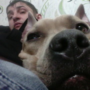 ���������� �����������, ���� ������� �������, 48 ���, ������������ ��� ����� � ���������, c�������� ���������