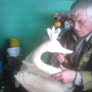  ,   , 71 ,     , c 