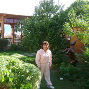  ,   , 68 ,   ,   , c 