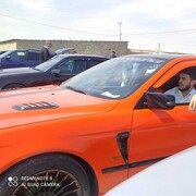 ���������� ����, ���� ������� Canavar, 31 ���, ������������ ��� ������, ����� � ���������