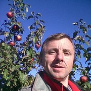  ,   , 49 ,  