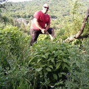  ,   , 46 ,   ,   , c 