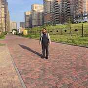  --,   , 36 ,   ,   