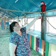 ���������� �����, ���� ������� �����, 57 ���, ������������ ��� ����� � ���������, c�������� ���������