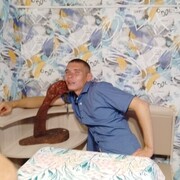  ,   , 28 ,     , c , 