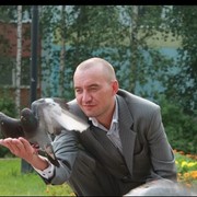 ���������� �����������, ���� ������� ����, 44 ����, ������������ ��� ������, ����� � ���������, c�������� ���������