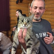  ,   , 60 ,   ,   , c 