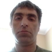  ,  , 44