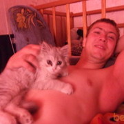 ���������� ����-���, ���� ������� Tristar, 41 ���, ������������ ��� ������