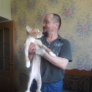 ,   , 49 ,   ,   , c 