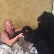 ���������� ������, ���� ������� Shmel346, 69 ���, ������������ ��� ������