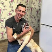 ���������� �������, ���� ������� ���������, 37 ���, ������������ ��� ������, ����� � ���������, c�������� ���������