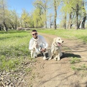  ,   , 25 ,   ,   , 