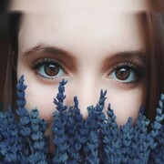  ,  Pryanik, 26
