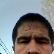 ���������� �����-���������, ���� ������� ����, 40 ���, ������������ ��� ������, ����� � ���������, c�������� ���������