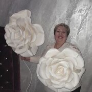  ,   , 48 ,   ,   , c , 