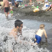 ���������� �������, ���� ������� 598160494, 31 ���, ������������ ��� ������, ����� � ���������, c�������� ���������