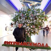 ���������� �������, ���� ������� �����, 48 ���, ������������ ��� ������, ����� � ���������