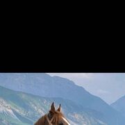 ���������� ����, ���� ����� Tunar, 25 ���, ������������ ��� ������, ����� � ���������