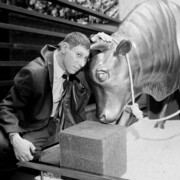 ���������� ��������, ���� ������� �������, 42 ����, ������������ ��� ������, ����� � ���������, c�������� ���������