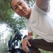 ���������� ������, ���� ������� ����, 33 ����, ������������ ��� ������, ����� � ���������, c�������� ���������, ���������