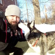 ���������� ������, ���� ������� ������, 41 ���, ������������ ��� ������, ����� � ���������, c�������� ���������, ���������