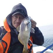 ,   , 62 ,   c 