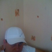  ,   ROMA, 36 ,   ,   , c 
