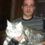  ,   Vbif, 41 ,   