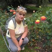  ,   , 48 ,   , 